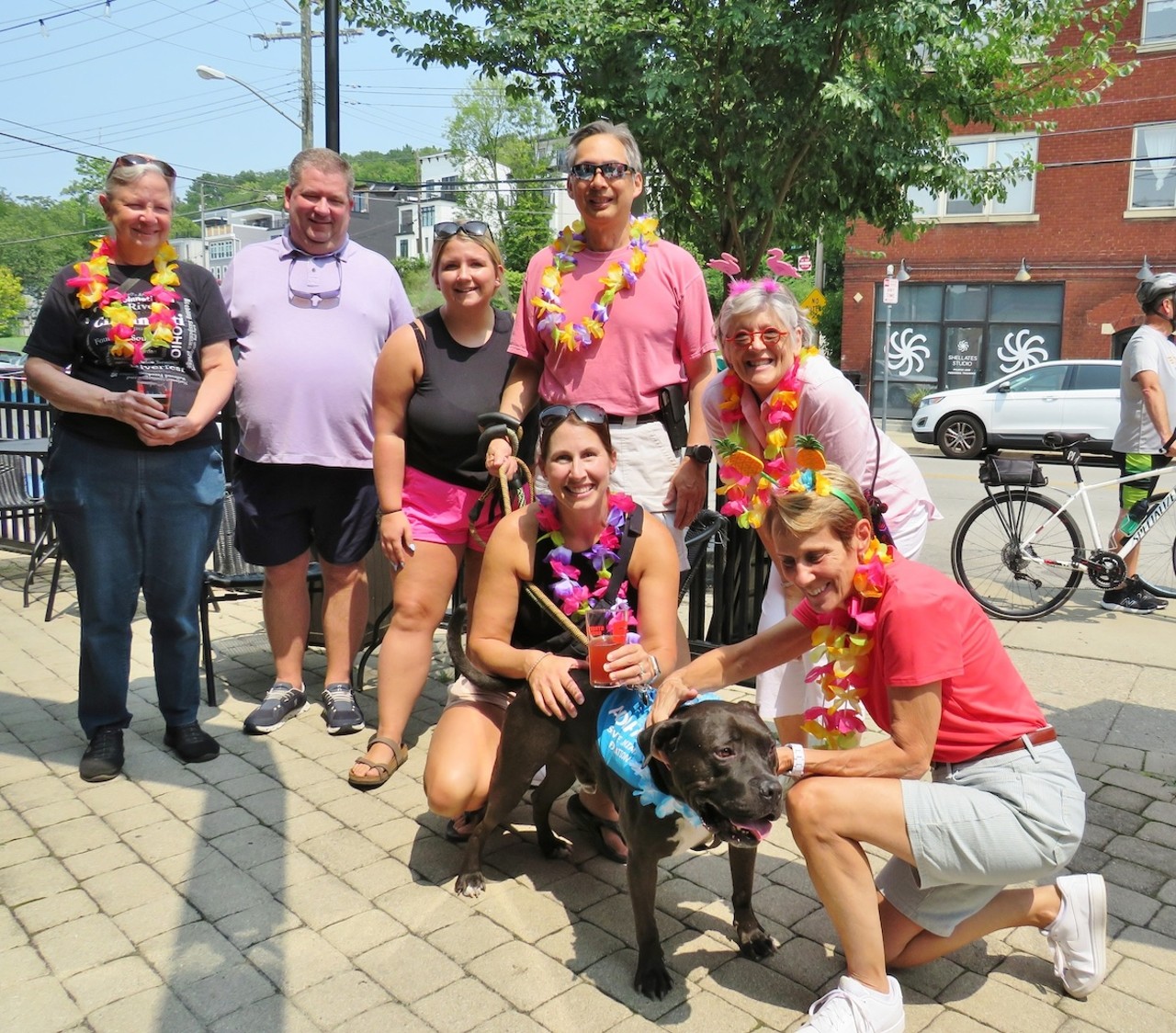 Save the Animals Foundation’s Annual Tails + Tikis Luau
When: Aug. 24 from 1-4 p.m.
Where: Streetside Brewery, Columbia Tusculum
What: Attendees of this annual fundraiser from the Save the Animals Foundation are encouraged to dress up in their best Hawaiian shirts and grass skirts for a night full of live steel drum performances by the Queen City Silver Stars, gift basket raffles, beer and food and more.
Who: Save the Animals Foundation
Why: Here’s your excuse to wear that great Hawaiian shirt currently at the back of your closet.