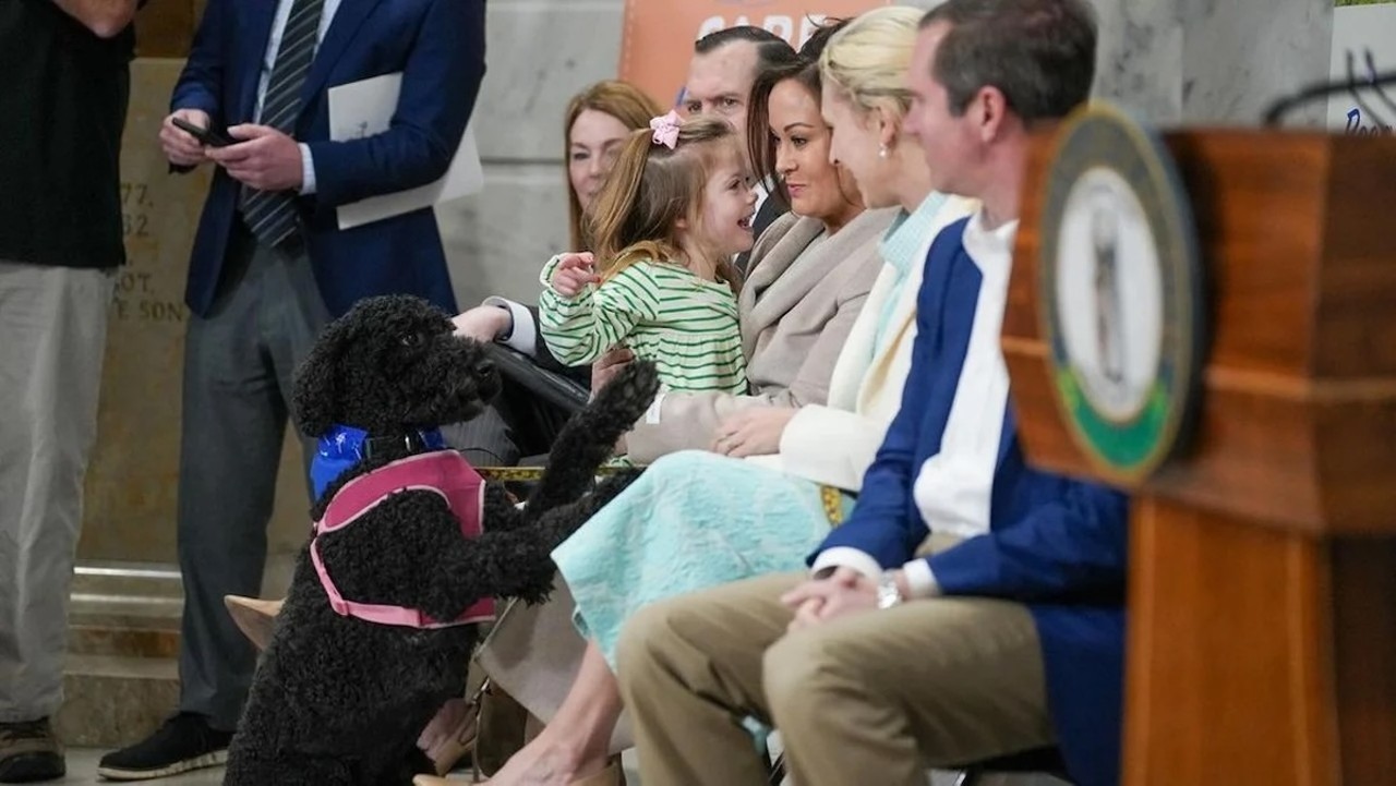 Bonus: He Has a Cute Dog
He has a really cute dog named Winnie who makes frequent appearances on his Instagram, and, from the looks of it, this adorable pup both loves and trusts Papa Andy, which says a lot. After all, whether Republican or Democrat, can't we all agree that dogs are the best judges of character?