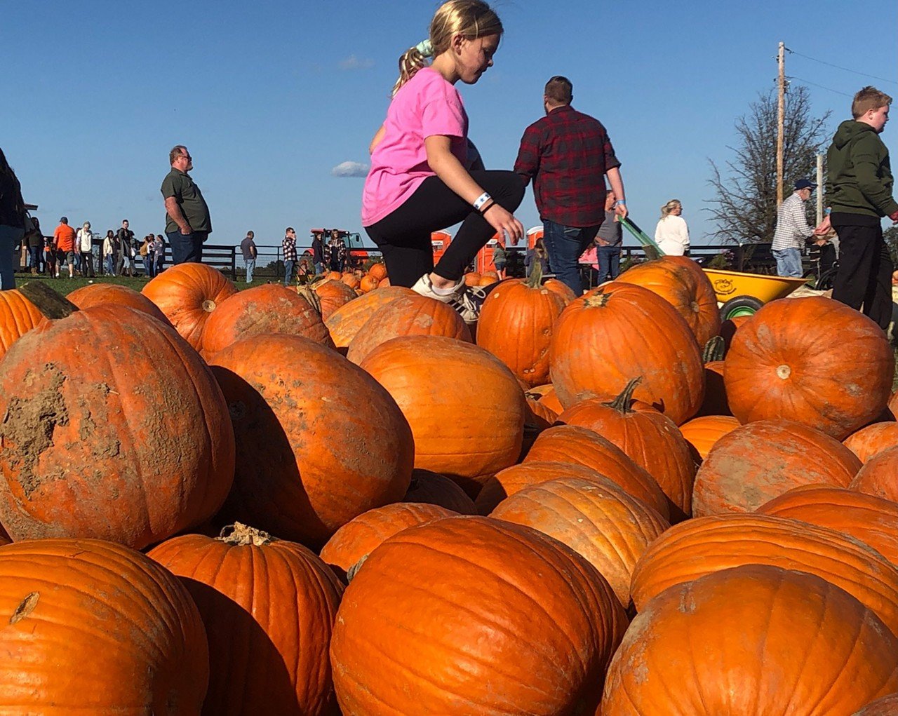 Evans Orchard Cider Mill 
198 Stone Road, Georgetown, Kentucky. Open Tuesday-Sunday until Oct. 29.
This fifth-generation family farm and cider mill grows apples, pears, pumpkins and more — many of which you can pick yourself when they're in season. U-pick pumpkin season starts in September and goes through the end of October. Other fall fun includes a petting zoo, wagon ride, corn maze and Megaslide. Visit the market and cafe for tasty treats.