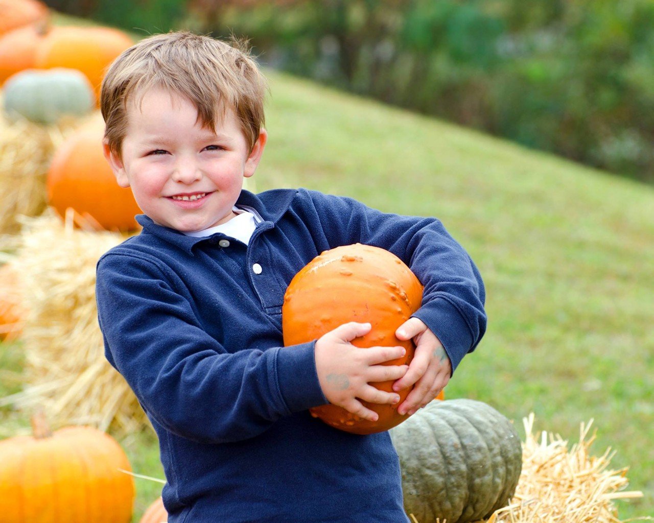 Niederman Family Farm
5110 Lesourdsville West Chester Road, Liberty Township. Open Thursday-Sunday until Oct. 29.
Find your way through a corn maze, go on a hayride, or let the little ones enjoy time with barnyard animals. Or, walk to the pumpkin paradise to select your own pumpkin (priced by size), or indulge in some cinnamon-sugar donuts, caramel apples or apple cider. Guests can also rent bonfire pits with benches. Niederman lights the bonfire, you provide the snacks to roast over the open flame.