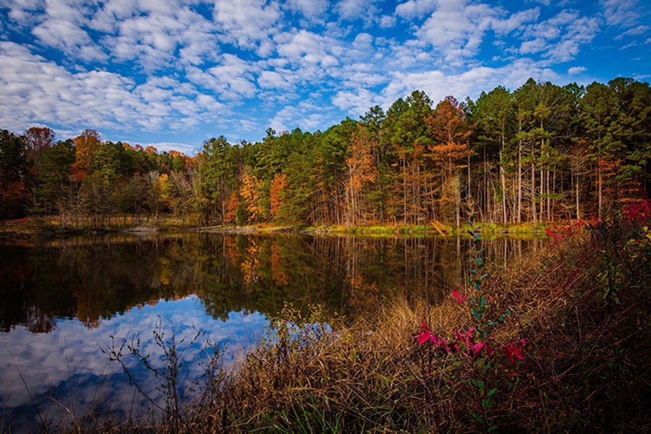 Hoosier National Forest, Indiana
Distance: 2 hours and 30 minutes 
Hoosier National Forest, located in the hills of south-central Indiana, is a 204,000-acre forest that offers a lot of fall adventures for the outdoorsy and nature lovers. The property features over 260 miles of hiking trails for both day hiking and backpacking, 200 miles of trails for horseback riding and over a dozen areas for mountain biking, plus areas for fishing, boating, paddling and hunting. This massive piece of land also has lots of special attractions, including Patoka Lake, which is the second-largest reservoir in the country, and the Rickenbaugh House, a sandstone home built in 1874 that opens periodically.