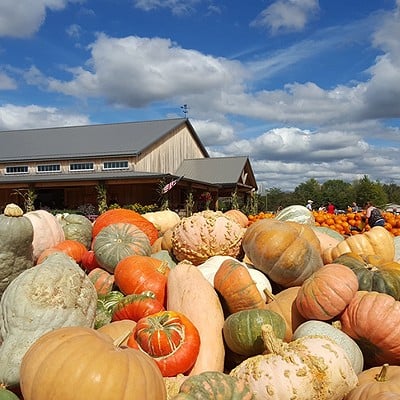 Pick the Perfect PumpkinFall, especially the spooky season portion, is not complete without picking out the perfect pumpkin, whether you want it for carving or decoration. There are plenty of patches around Greater Cincinnati for pumpkin picking, from Brown’s Family Farm Market on the western side of the Tri-State in Hamilton, to Burger Farm & Garden Center out east in Newtown, Irons Fruit Farm up north in Lebanon or McGlasson Farms to the south in Hebron. A lot of these places also offer family-friendly fall festivals with activities for kids ranging from hayrides to scavenger hunts and petting zoos. You can see CityBeat’s list of 14 pumpkin patches worth a visit this fall here.