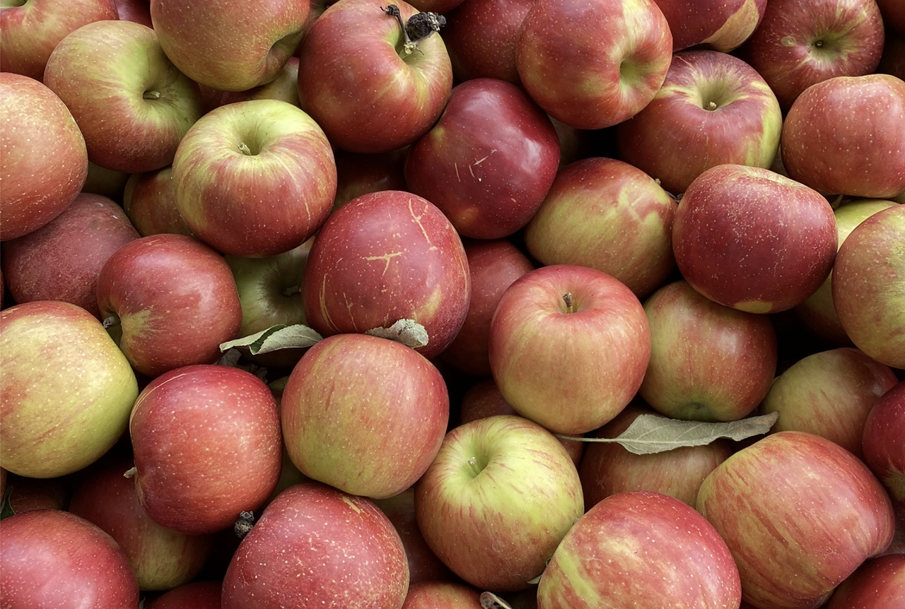 Hollmeyers Orchard 
3241 Fiddlers Green Rd., Westside. Open daily.
Over 100 years old, Hollmeyer Orchard offers a variety of farm-fresh classics like apples, cider, peaches, plums, eggs and a range of vegetables.