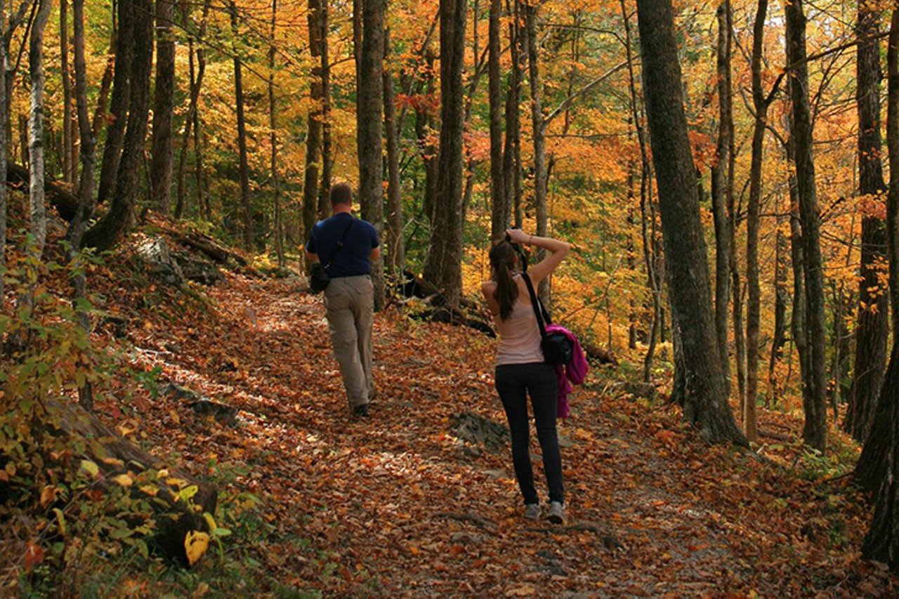 See the Leaves Changing
The southern Ohio area won't see the changing of the leaves until mid-October, but once they do, there is a brief time before they die and winter begins. The Farmers Almanac suggests Cuyahoga Valley National Park in Ohio and Buckhorn Lake State Park in Kentucky as some of the best places in the country to watch the leaves change. If you're willing to go on a real road trip up north they also suggest foliage viewing in Traverse City, Michigan.