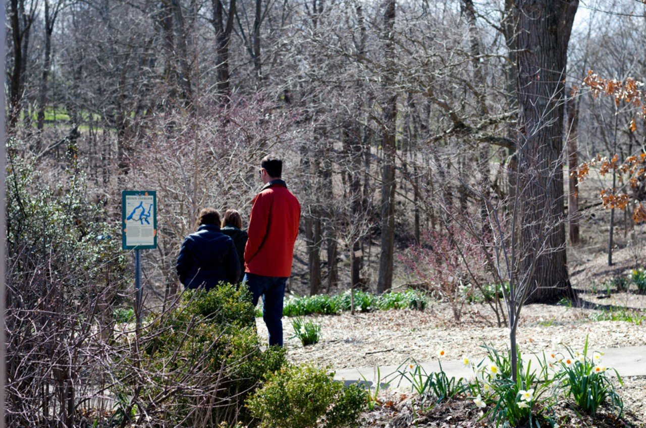 Ault Park
5090 Observatory Ave., Mount Lookout
Ault Park is nestled within an unsuspecting nook of Mount Lookout. Here, the suburban rush slows to a lull. From early morning until late afternoon, the sprawling landscape is full of people traversing its paved loops and gravel trails. If the park were smaller than its boastful 224 acres, it may feel crowded.