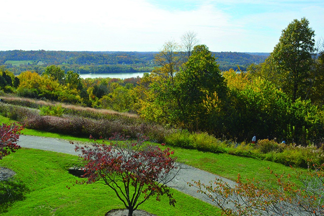 Woodland Mound 
8250 Old Kellogg Road, Withamsville
Woodland Mound Overlook has multiple trails including a 1-mile fitness trail through the woods, a half-mile trail called the Hedgeapple (past two ponds home to frogs, salamanders, snakes and more), another nature hike with a view of the Ohio River and a shared-use trail that leads to almost 2 miles of woods and prairie.