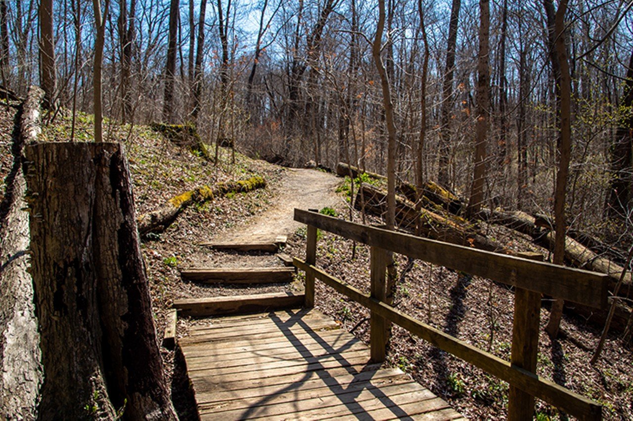 Withrow Nature Preserve
7075 Five Mile Road, Anderson Township
The Trout Lily Trail in the Withrow Nature Preserve is a moderately difficult 1.7 mile nature trail through verdant green woods, bushes and grass. This trail is rarely crowded so it makes for a great peaceful walk.