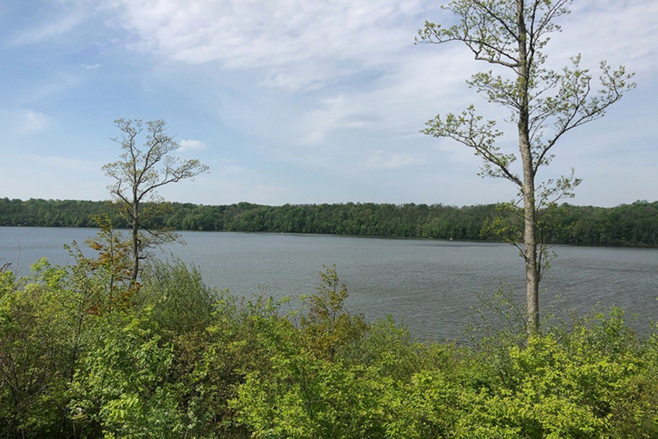 Hueston Woods State Park
6301 Park Office Road, College Corner
This park surrounds Acton Lake, where visitors can fish and canoe. Its almost 3,000 acres of recreation land also include hiking and fossil hunting sites. Other amenities include an archery range, dog park, disc golf course and other sports facilities.