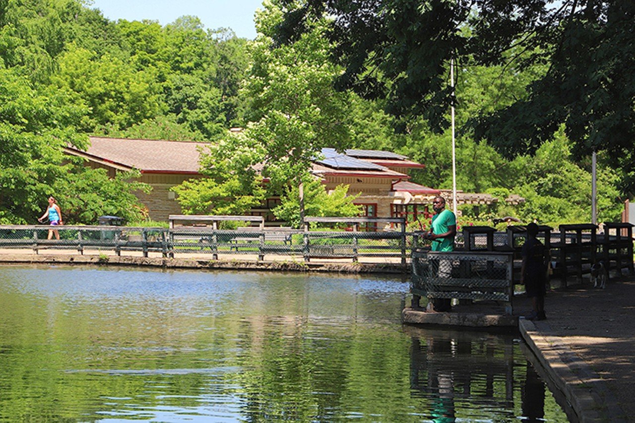 Burnet Woods
3251 Brookline Ave., Clifton
This 90-acre park located near University of Cincinnati's campus offers plenty of hiking trails, a disc golf course, nature center, a planetarium, fishing lake and more.