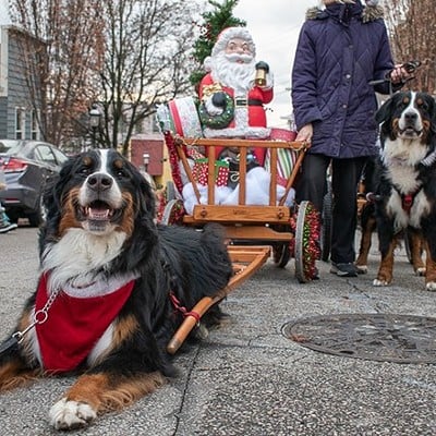 Mt. Adams Reindog Parade and OTR RailDog ParadeReindog kicks off at 946 Pavilion St., Mt. Adams; RailDog kicks off at Queen City Radio, 222 W. 12th St., Over-the-RhineFor more than two decades, pups decorated in their holiday best have taken to the streets of Mt. Adams for an annual costumed Reindog Parade. And in Over-the-Rhine, there will also be a costumed puppy parade that will take dogs and their owners from Queen City Radio to Washington Park and back for some holiday cheer. The Mt. Adams Reindog Parade is Saturday, Dec. 9 with registration from 12:30-1:45 p.m. and the parade kicking off at 2 p.m. The OTR RailDog Parade is Saturday, Dec. 16 starting at 3(ish) p.m.