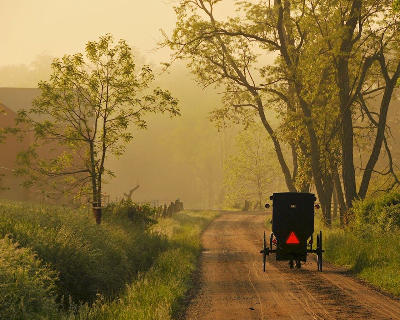 Ohio's Amish Country
Distance:  3 hours and 30 minutes
Amish Country, which includes Holmes County and surrounding counties in northeast central Ohio, features bakeries, buggy rides, museums, delicious cheeses and even the world's largest cuckoo clock (located in Sugarcreek). Take in the beautiful countryside and catch a glimpse of life the way it existed in Ohio before the advent of cellphones, the internet and other modern conveniences.