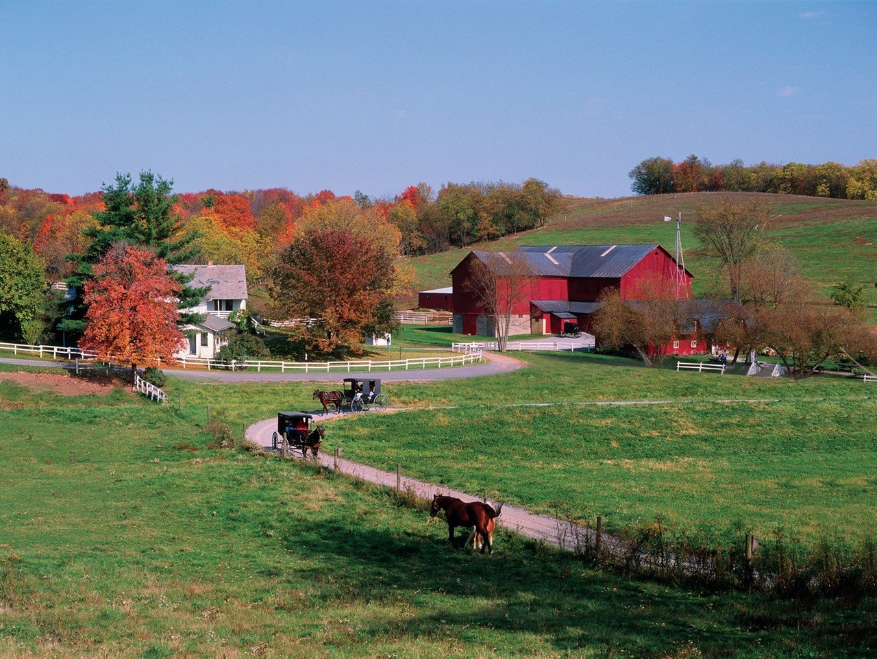 Millersburg, Ohio
Distance: 3.5 hours
If you've ever been interested in the Amish culture, Millersburg is in the heart of Amish country and just over a three-hour drive from Cincinnati. There you'll find Yoder's Amish Home, where you can learn firsthand about Amish day-to-day living and culture via tours of the farm, house and land. There's also the Guggisberg Cheese Factory, which is the home of the original baby Swiss cheese. There are also many other Amish towns nearby, such as Berlin or Walnut Creek, with more activities and lodging.