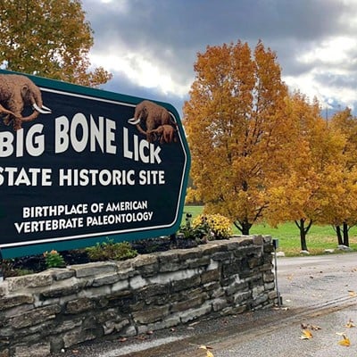 Big Bone Lick State Historic Site3380 Beaver Road, UnionIf you're up for a short drive, Big Bone Lick State Park in Union has a collection of easy and moderate trails that pass through the historic site's woodlands, grasslands, savanna and salt-sulfur springs. Named after the Ice Age megafauna that once occupied the area and its saltwater streams, the park is still home to a collection of giant mammals: bison. The 10 to 15 on view are a link to the Ice Age and an attempt to reestablish a herd of the endangered animals at the park.