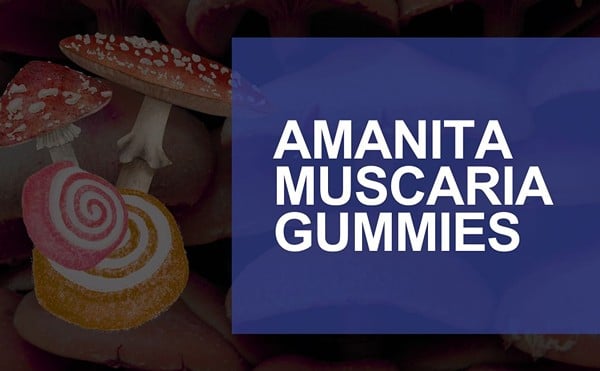 Best Amanita Muscaria Gummies of 2024 Reviewed: Effects, Potencies & Uses