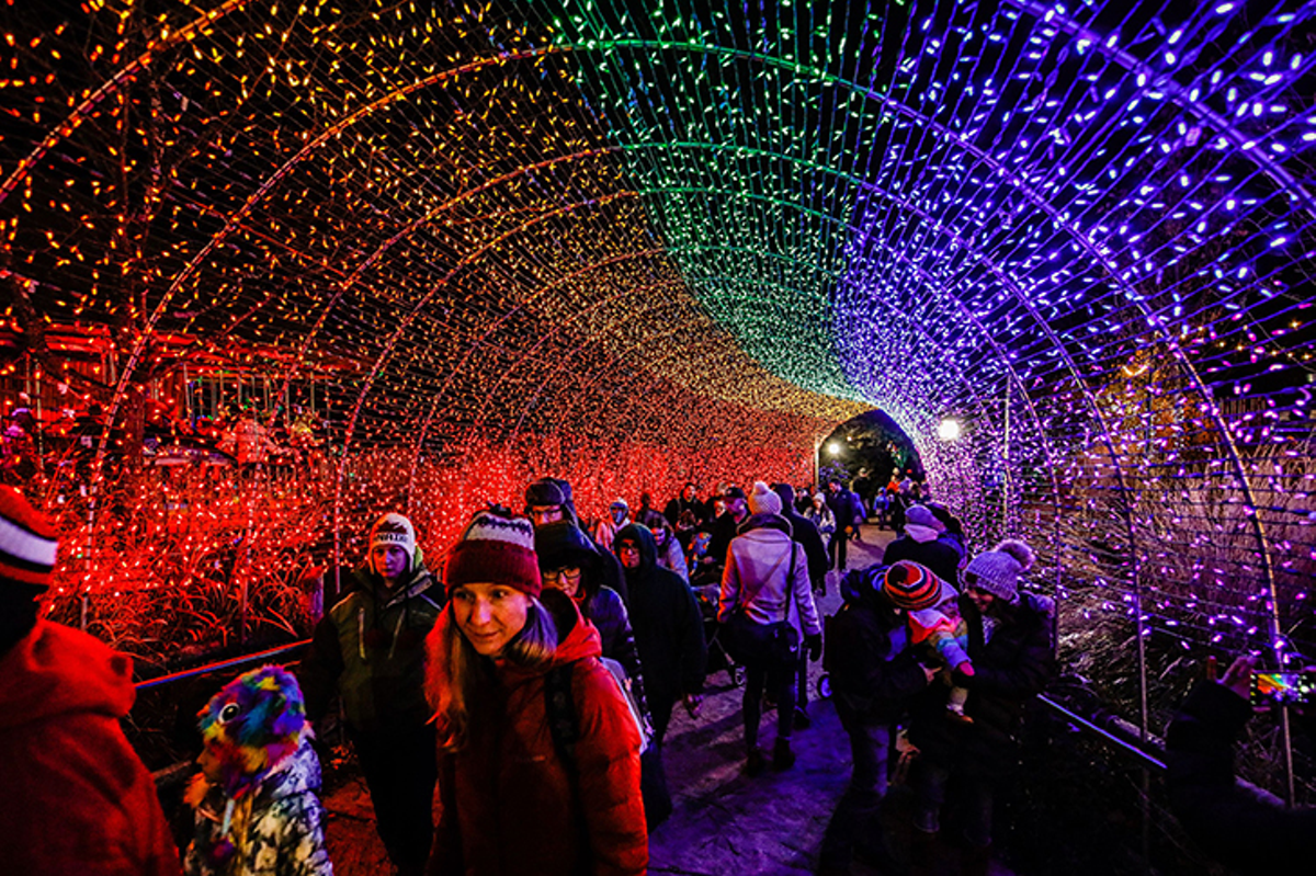 Festival of Lights