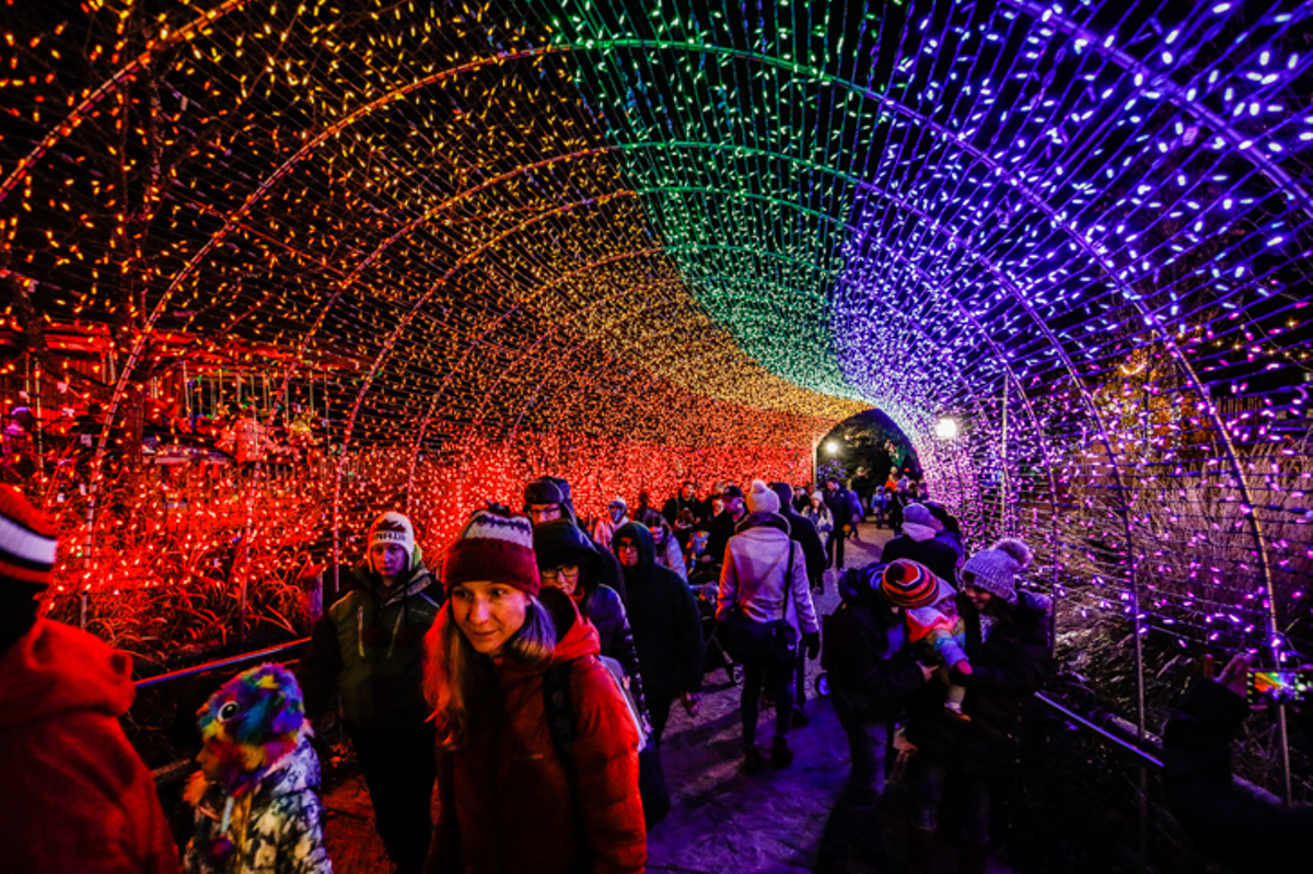 Festival of Lights at the Cincinnati Zoo