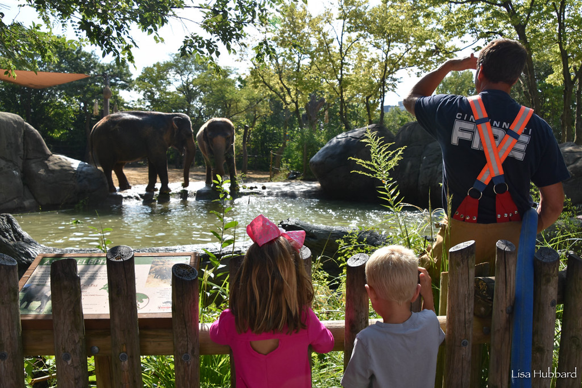 Image: Best Kid-Friendly Attraction