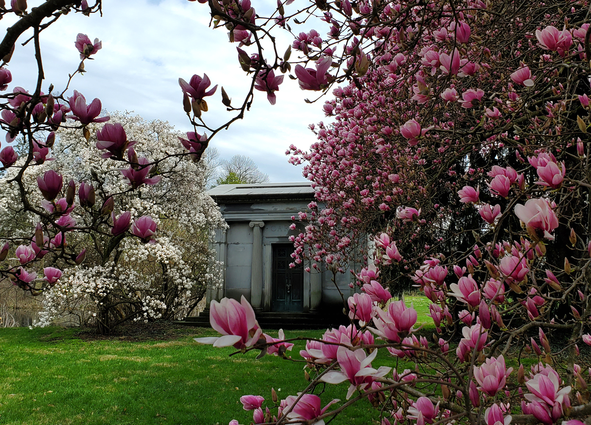 Spring Grove Cemetery & Arboretum