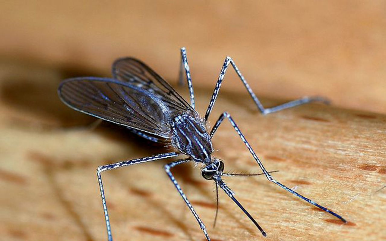 The Cincinnati Health Department is cautioning people to protect themselves against mosquito bites and to reduce outdoor standing water.