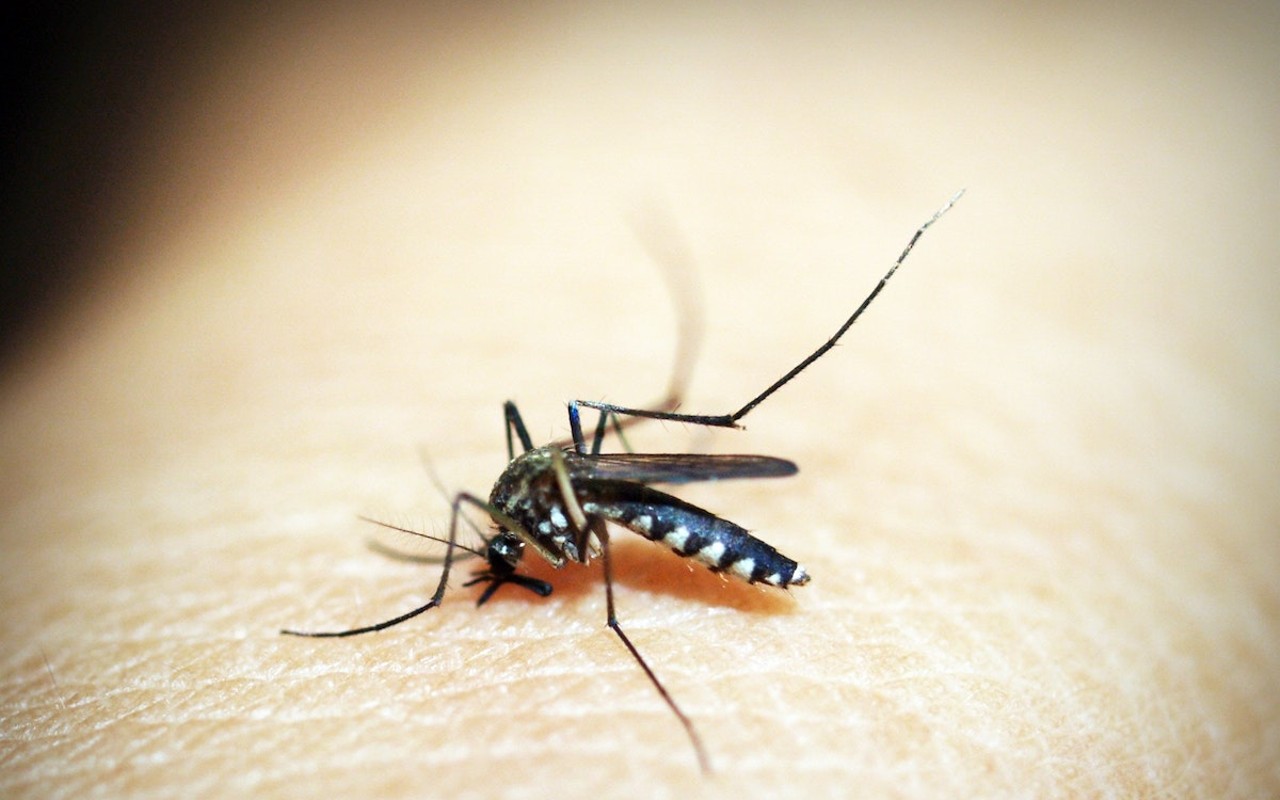 A mosquito carrying West Nile Virus was found in Cincinnati, according to the Cincinnati Health Department.