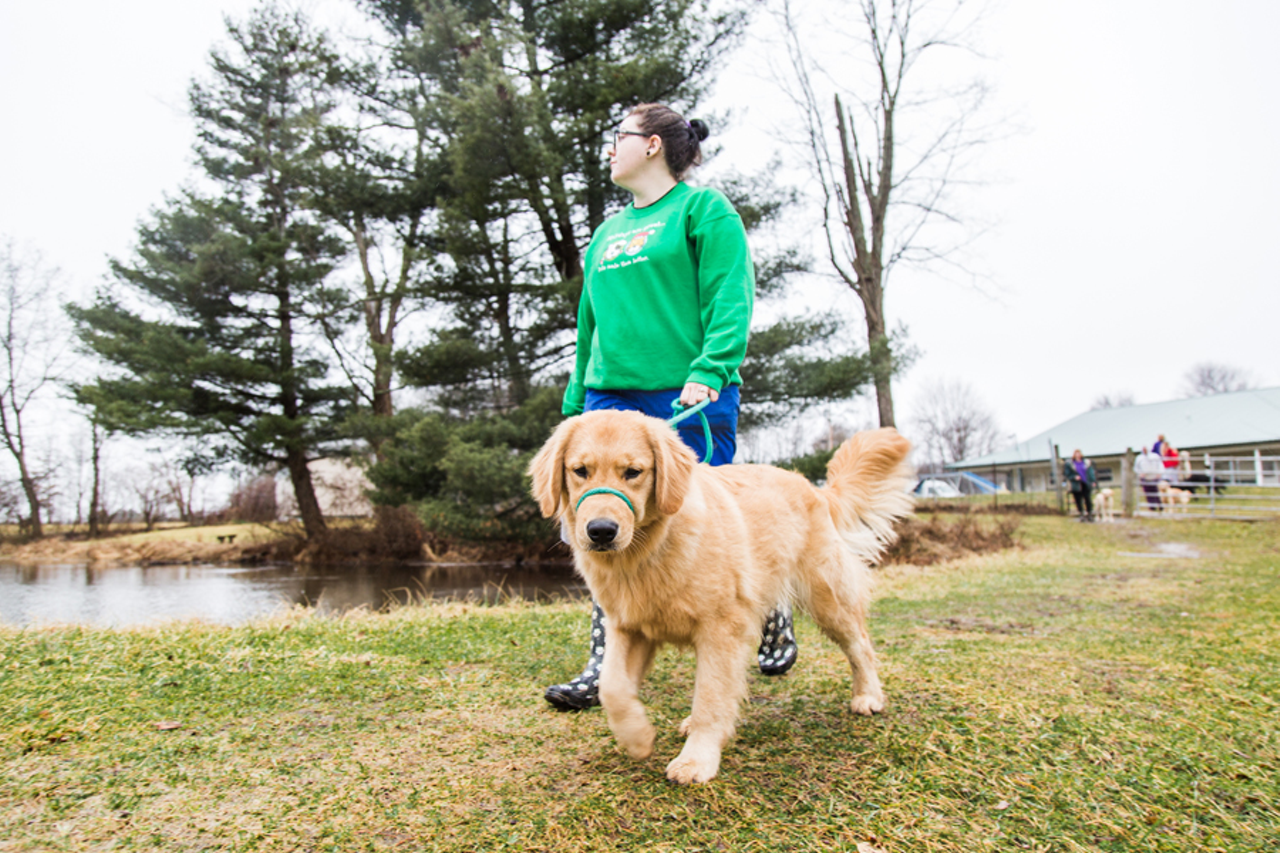 “Circle Tail’s mission is fulfilling the dog’s purpose — finding the right job for the dog,” says Circle Tail President Jennifer Kiblinger. “If it’s not a service dog, it’s not a service dog.”