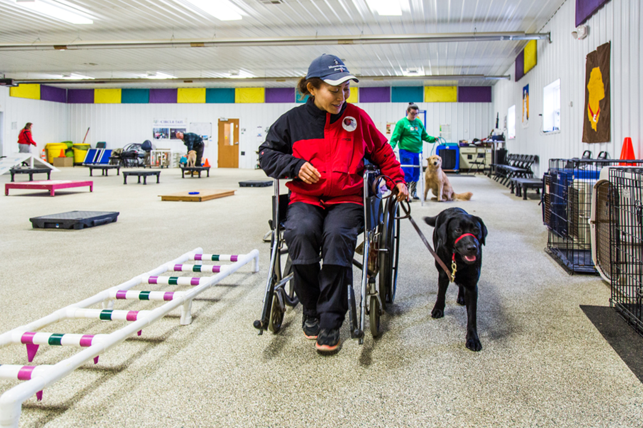 Circle Tail is accredited by Assistance Dogs International, which establishes standards for the training and acquisition of service animals.