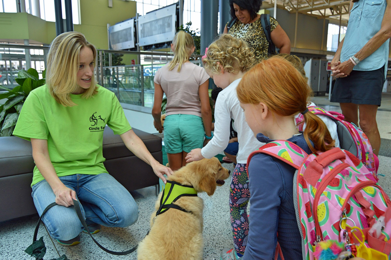 Kids pet a Circle Tail service-dog-in-training at CVG airport.