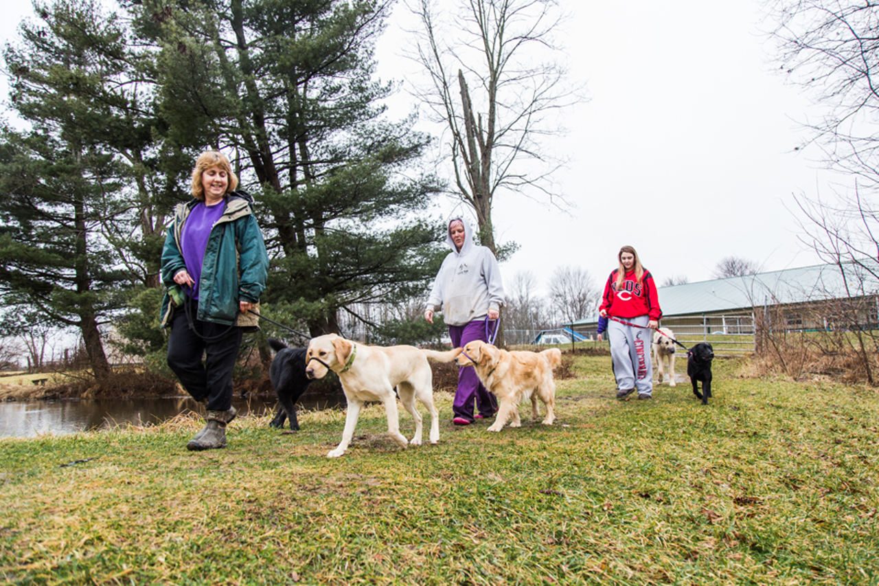 Volunteers help train potential service dogs at Circle Tail’s facility in Pleasant Plain, Ohio.