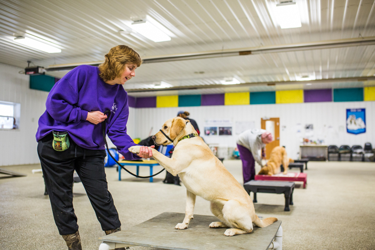 Dogs at the training facility learn everything from basic obedience to advanced service dog skills to assist those with a variety of disabilities.