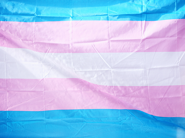 An Ohio appellate court heard arguments from both the state and attorneys for two transgender children on a recent law banning gender-affirming care for minors.