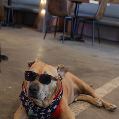 Hank, the face of Alley Baby, lays down in the space