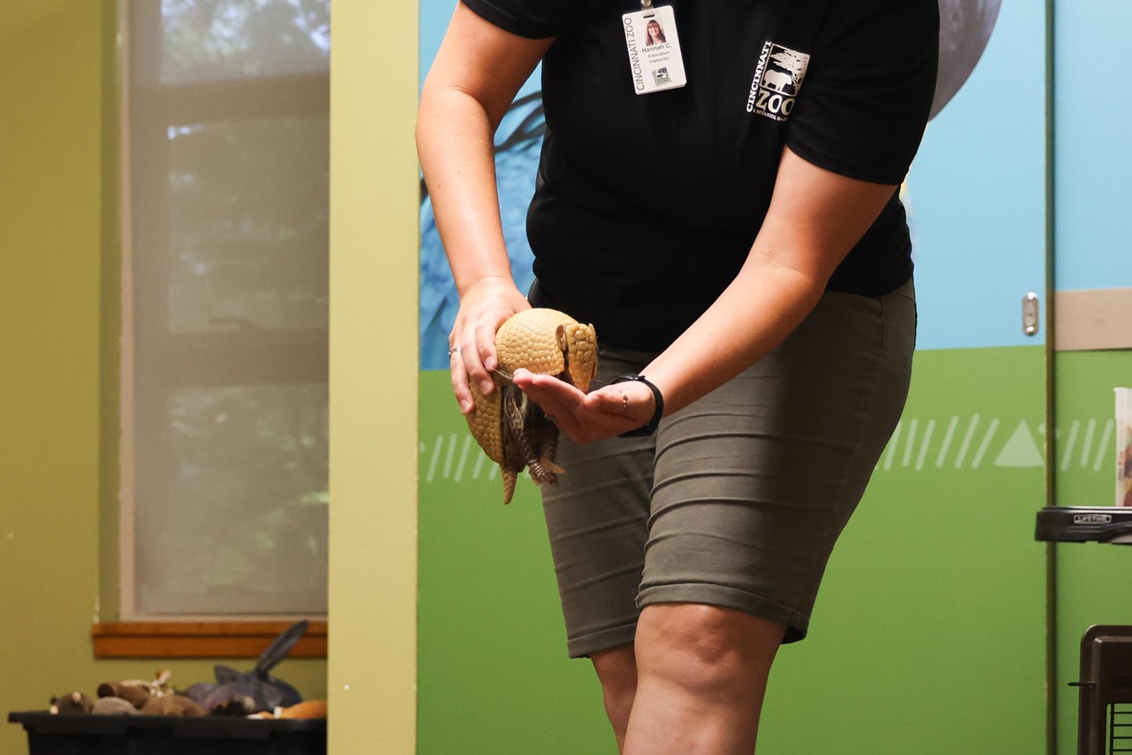 Pip the armadillo is taken out of her crate during the Night Hike at the Cincinnati Zoo on Aug. 3, 2024.