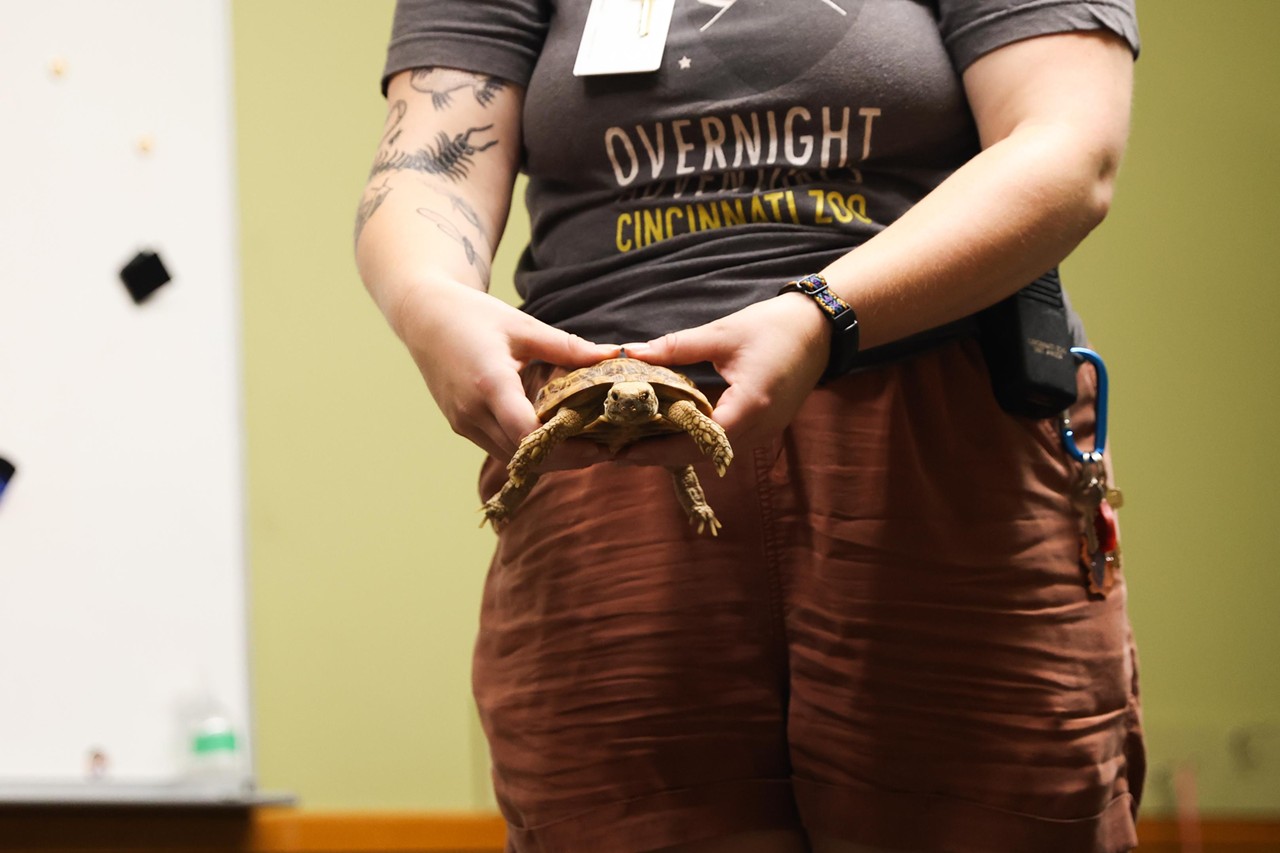 A zoo employee holds Flapjack the pancake tortoise during the Night Hike at the Cincinnati Zoo on Aug. 3, 2024.