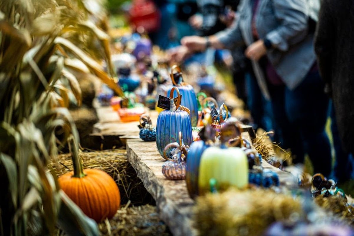 Glass Pumpkin Festival at Jack Pine Studio