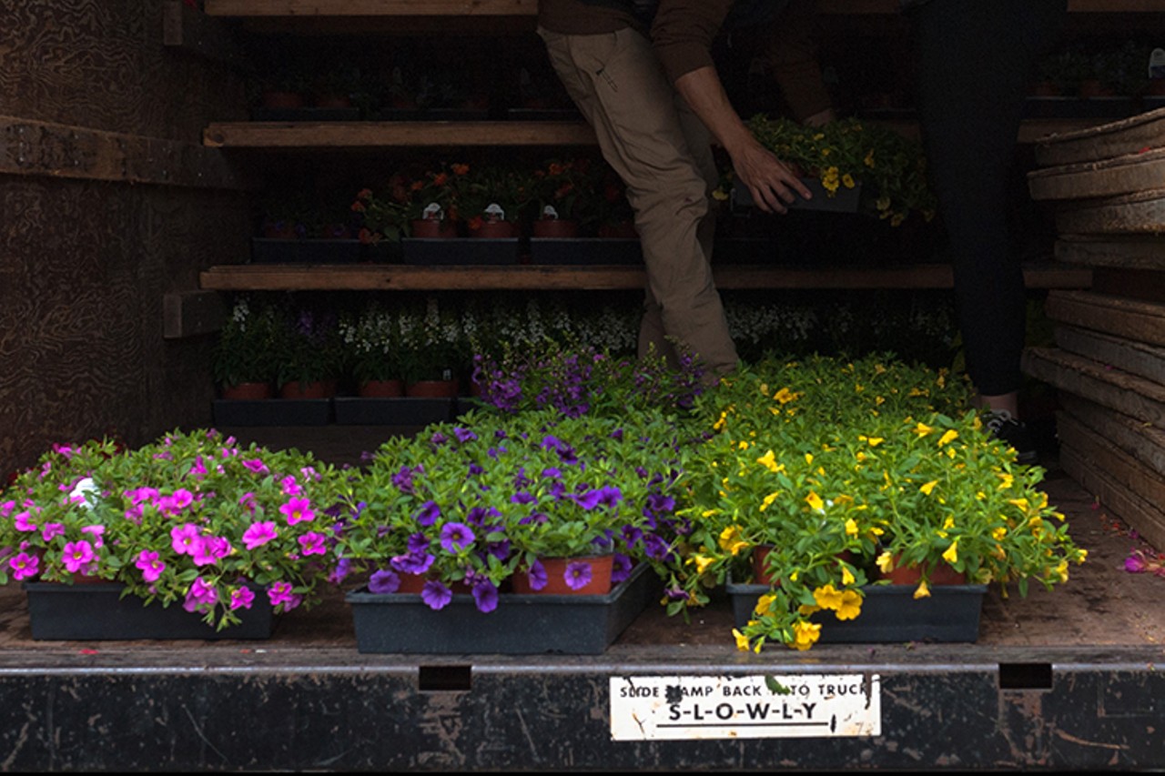 Pipkin's Market in Blue Ash is a One-Stop-Shop for Plants, Fresh Produce and Gourmet Groceries