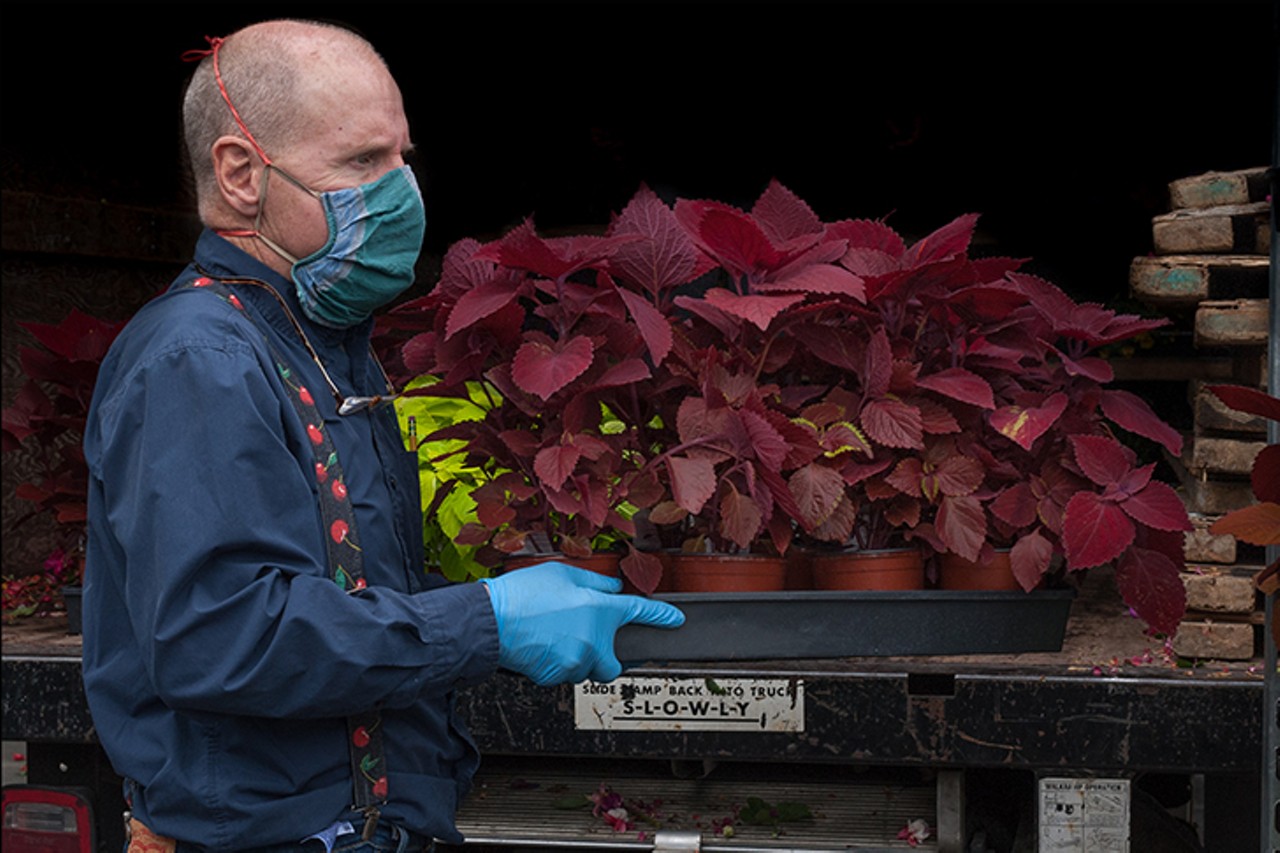 Pipkin's Market in Blue Ash is a One-Stop-Shop for Plants, Fresh Produce and Gourmet Groceries