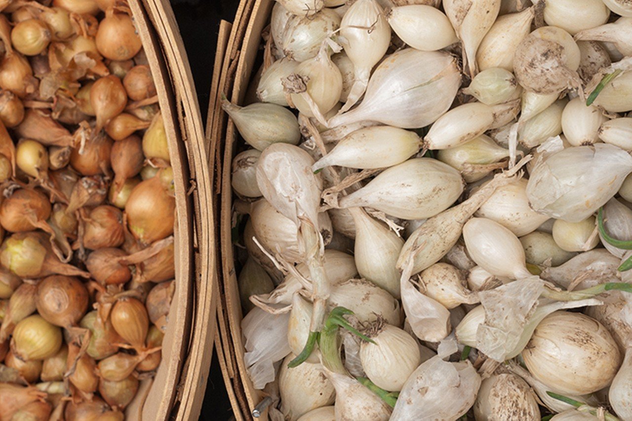 Pipkin's Market in Blue Ash is a One-Stop-Shop for Plants, Fresh Produce and Gourmet Groceries