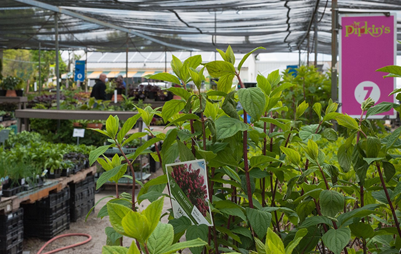 Pipkin's Market in Blue Ash is a One-Stop-Shop for Plants, Fresh Produce and Gourmet Groceries