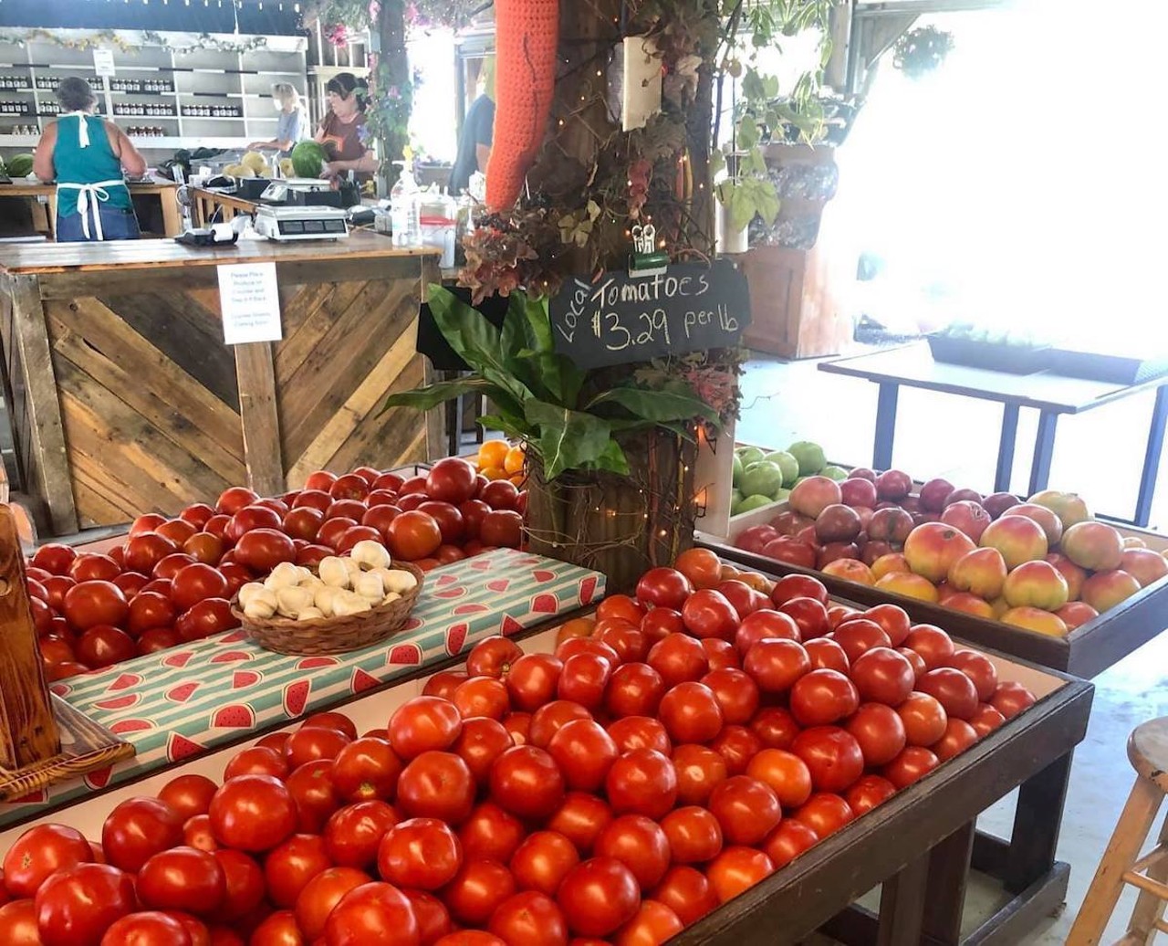 Shaw Farms Market
1737 OH-131, Milford
Monday-Saturday 9 a.m.-6 p.m.; Sunday 9 a.m.-5 p.m.
Family-owned and operated since 1948, Shaw Farms Market has free admission and carries a large selection of fresh produce including melons, zucchini, sweet corn, plums and more through September. They also offer educational tours for children and tons of fall fun in October.