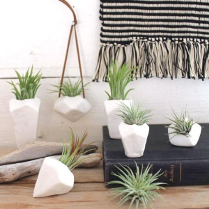 Where to Shop: Staff Picks