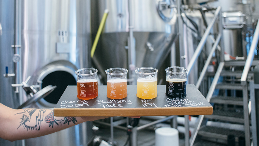 Best Brewery for Dogs to Mix and Mingle
