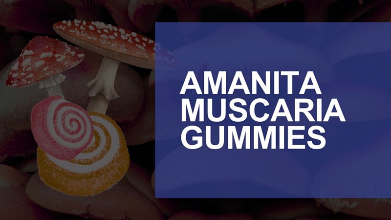 Best Amanita Muscaria Gummies of 2024 Reviewed: Effects, Potencies & Uses