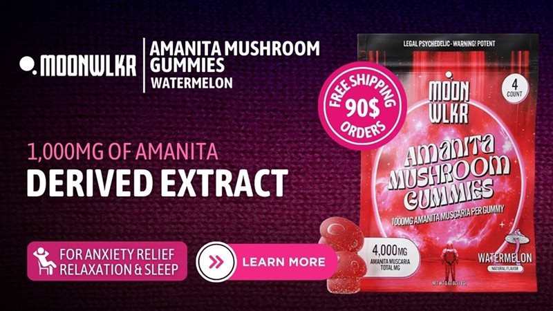 Best Amanita Muscaria Gummies of 2024 Reviewed: Effects, Potencies & Uses