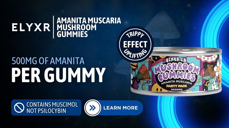 Best Amanita Muscaria Gummies of 2024 Reviewed: Effects, Potencies & Uses