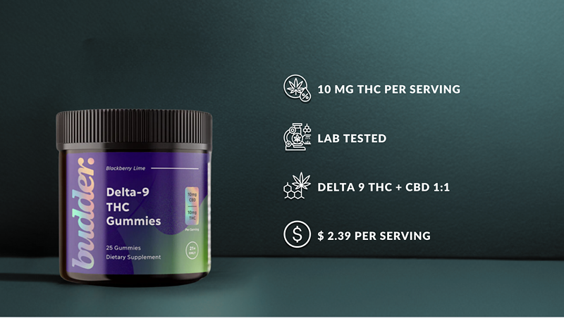 The Best THC Gummies For Sleep: Bestsellers Overview 2024