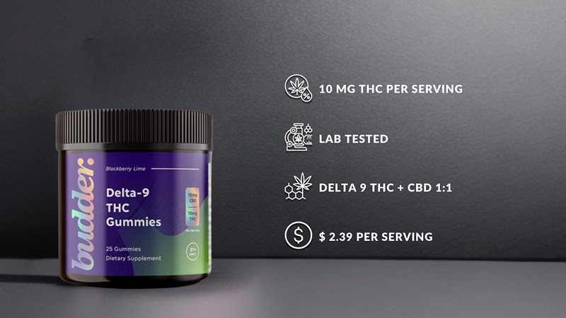 The Best Delta 9 THC Gummies: Overview 2024